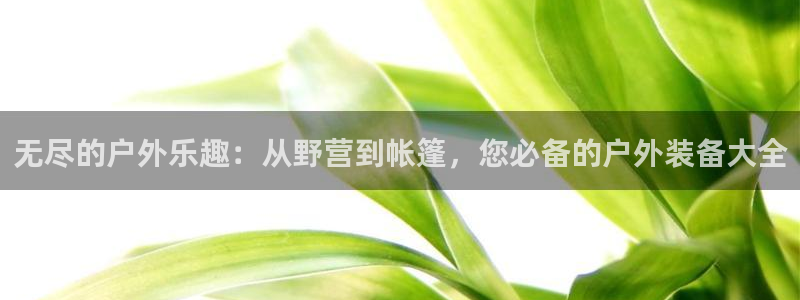 先锋互动娱乐