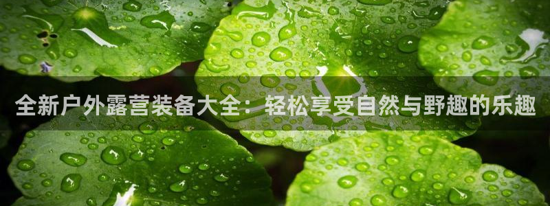 大连先锋娱乐