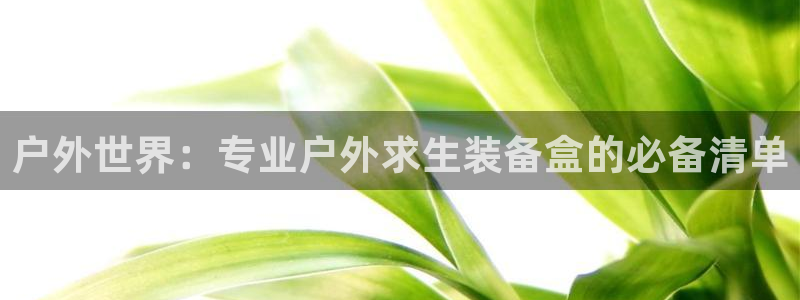 先锋娱乐大厅透视