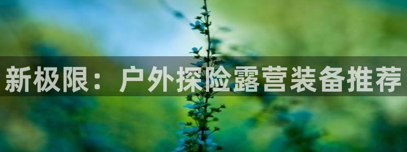 先锋娱乐在线