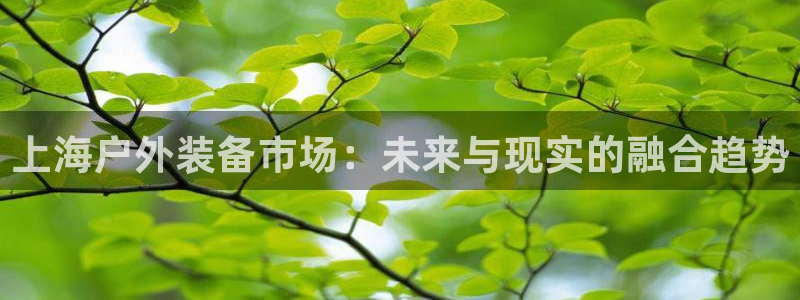 先锋国际娱乐