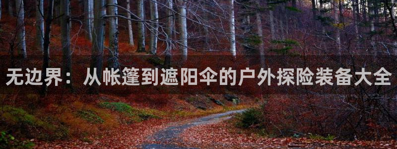 怎么下载先锋娱乐大厅