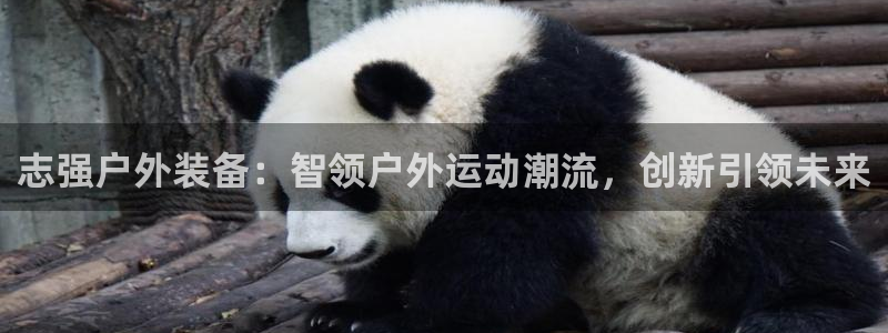 先锋娱乐股票