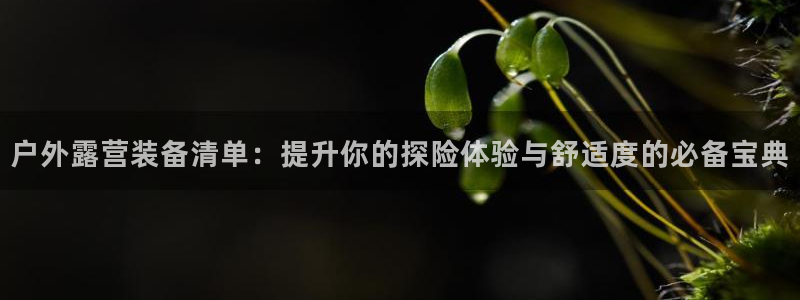 先锋娱乐入口