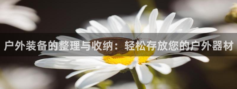 亚洲先锋娱乐登录