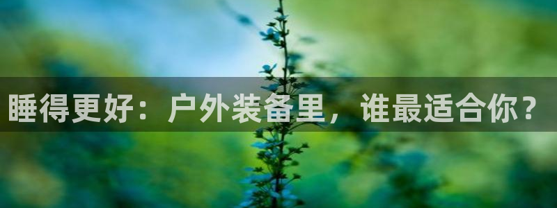 先锋娱乐属于违法吗