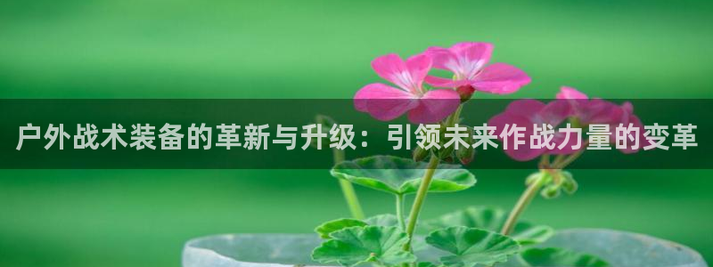 先锋娱乐管理集团