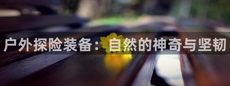 先锋娱乐公司正规吗吗