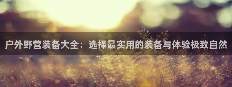 先锋电子旗下先锋娱乐