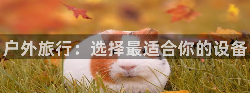 先锋娱乐热点
