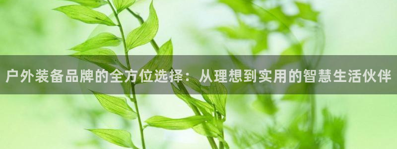 先锋娱乐体育管理集团