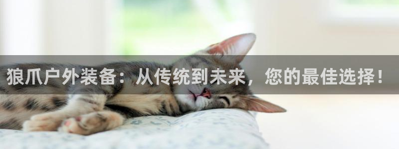 先锋娱乐转进去钱