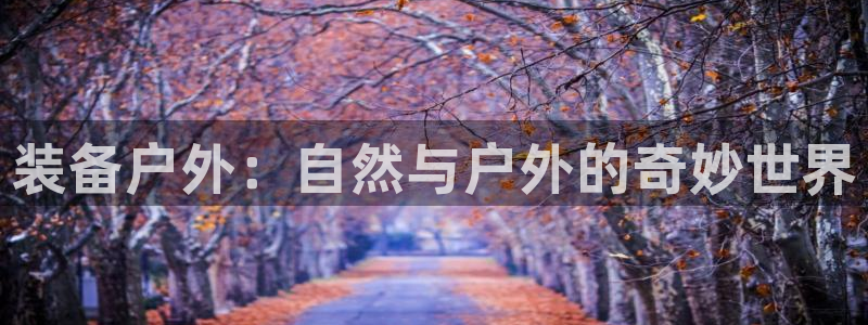 先锋娱乐垫付金额