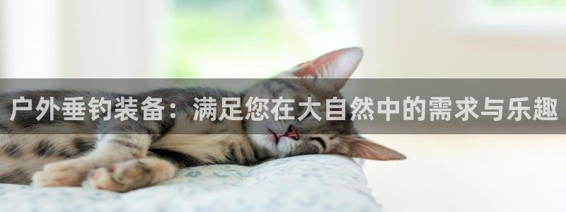 先锋娱乐资讯