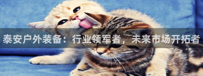 先锋娱乐转进去钱