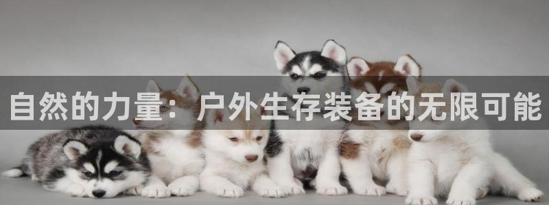 先锋娱乐转进去钱