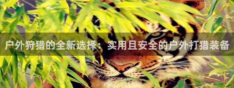 先锋 娱乐