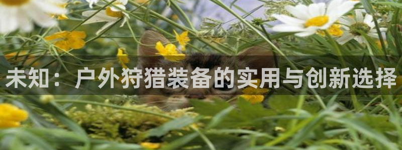 先锋娱乐转进去钱