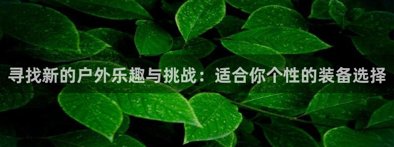 先锋娱乐集团公司