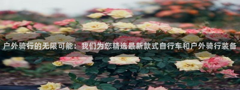 先锋娱乐游戏上分视频
