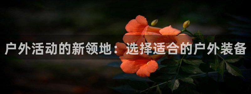 先锋娱乐管理集团