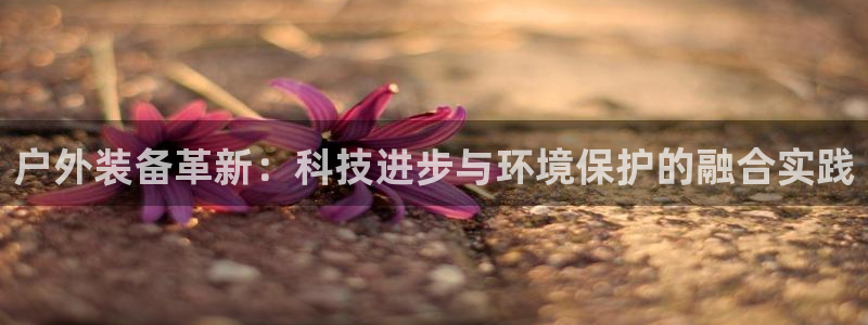 先锋娱乐入口