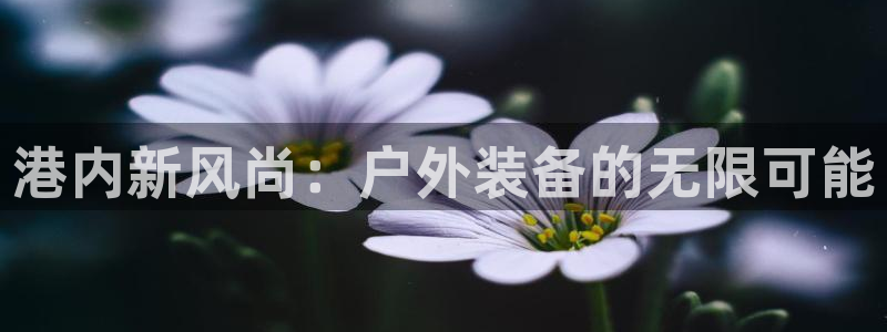 先锋娱乐会所地址