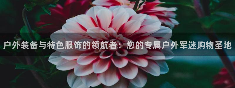 先锋娱乐集团公司