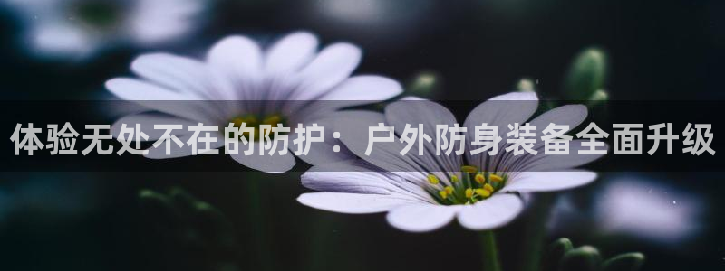 先锋娱乐电子游戏