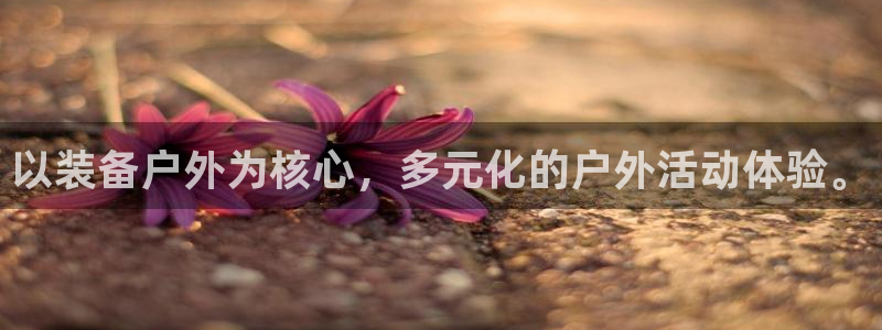 先锋娱乐币