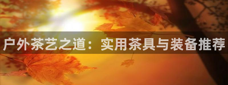 先锋娱乐系统