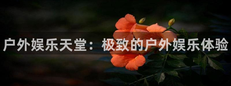 先锋娱乐公司正规吗吗