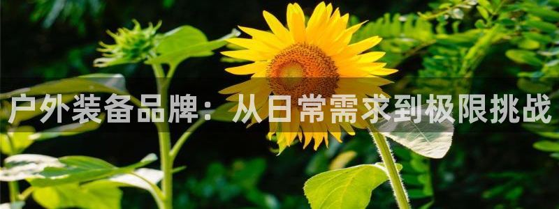 先锋娱乐理财logo