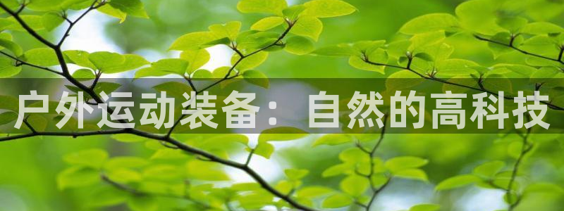 先锋娱乐垫付金额