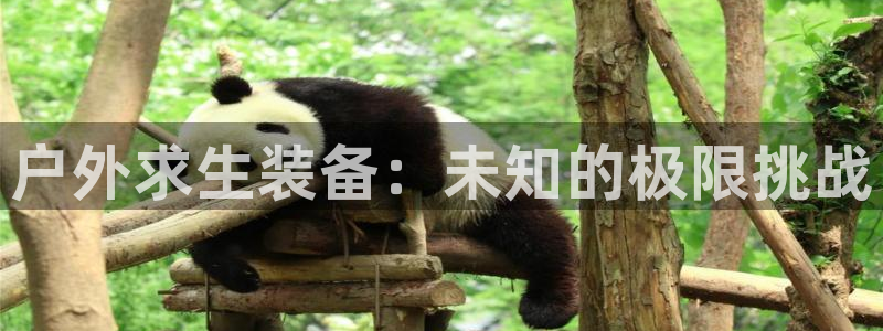 先锋娱乐大厅平台