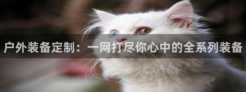 先锋娱乐邀请码多少