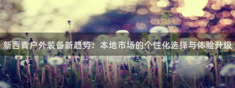 先锋娱乐客服