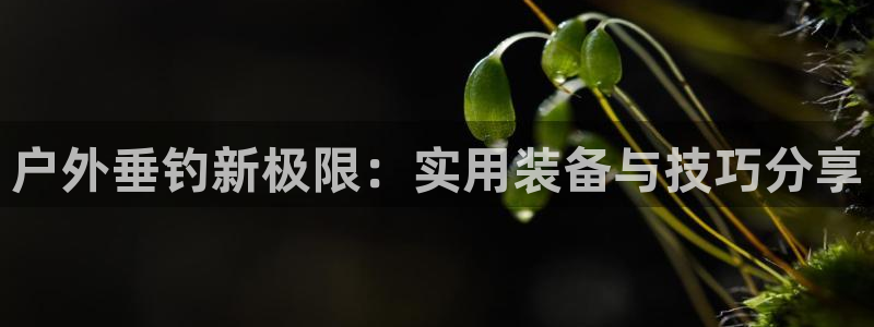 先锋娱乐传媒