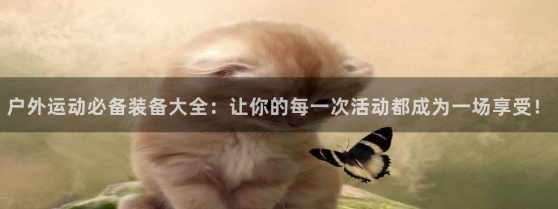 先锋娱乐电子游戏