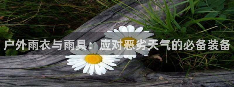 亚洲先锋娱乐行情