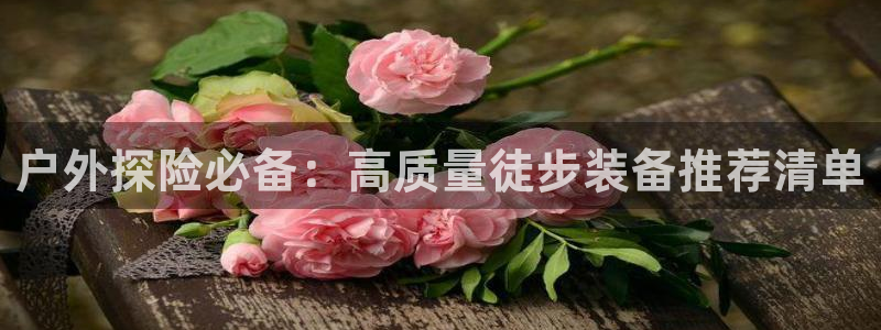 先锋娱乐电子游戏