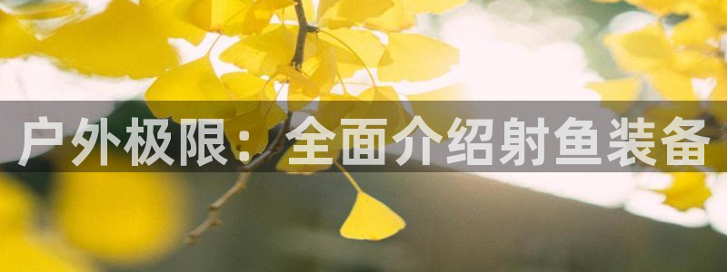 先锋娱乐游戏上分