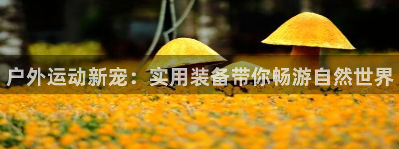 先锋电子旗下先锋娱乐