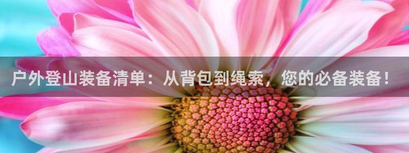 先锋娱乐电子游戏