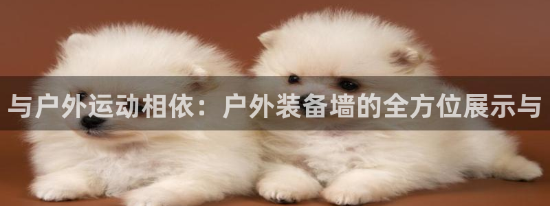 先锋电子车载娱乐系统