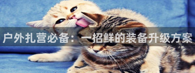 先锋娱乐邀请码多少位啊