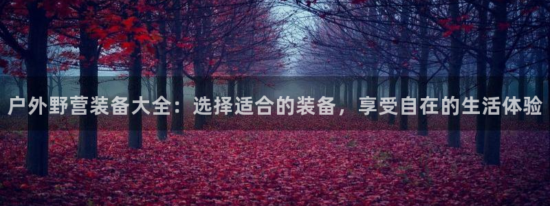 先锋娱乐游戏软件