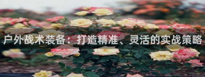 亚洲先锋娱乐跌