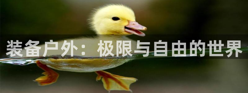 娱乐急先锋李诞甄子丹