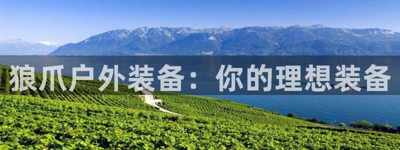 先锋支付娱乐城